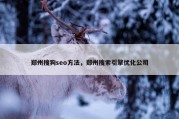郑州搜狗seo方法，郑州搜索引擎优化公司