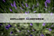 请填写seo关键字（seo关键字收费标准）