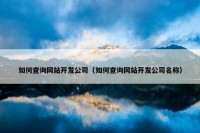 如何查询网站开发公司（如何查询网站开发公司名称）