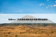 乌苏seo（乌苏森林消防大队招录消防员通知）