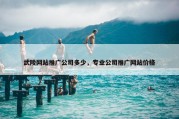 武陵网站推广公司多少，专业公司推广网站价格