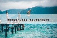 武陵网站推广公司多少，专业公司推广网站价格