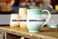 深圳seo爱好者？ 深圳知名seo公司？