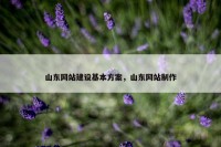 山东网站建设基本方案，山东网站制作
