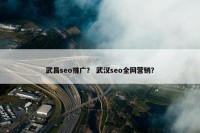 武昌seo推广？ 武汉seo全网营销？