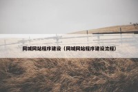同城网站程序建设（同城网站程序建设流程）