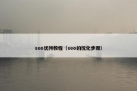 seo优待教程（seo的优化步骤）