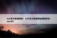 b2b电子商务网站？ b2b电子商务网站调研报告1000字？