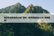 南京专业网站优化推广真吗（南京网站优化公司 网络服务）
