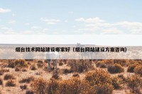 烟台技术网站建设哪家好（烟台网站建设方案咨询）