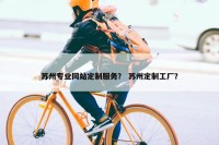 苏州专业网站定制服务？ 苏州定制工厂？