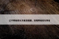 辽宁网站优化方案流程图，沈阳网站优化排名