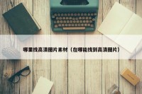 哪里找高清图片素材（在哪能找到高清图片）