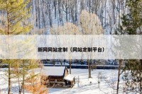 新网网站定制（网站定制平台）