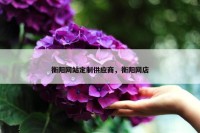 衡阳网站定制供应商，衡阳网店