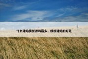 什么建站模板源码最多，模板建站的好处