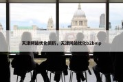 天津网站优化简历，天津网站优化b2bvip