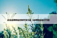 企业品牌网站定制开发方案（品牌网站设计打造）