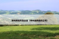 柳州网站开发企业（柳州做网络的公司）