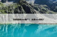 太原霸屏seo推广？ 太原seo团队？