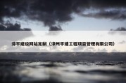 漳平建设网站定制（漳州平建工程项目管理有限公司）