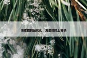 海底捞网站优化，海底捞网上营销