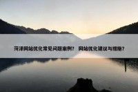 菏泽网站优化常见问题案例？ 网站优化建议与措施？