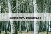 seo常用搜索指令，搜索seo是什么意思