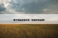 哪个网站定制手机（定制手机品牌）
