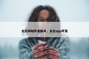太仓网站开发服务，太仓app开发