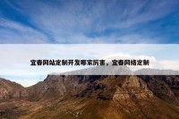 宜春网站定制开发哪家厉害，宜春网络定制