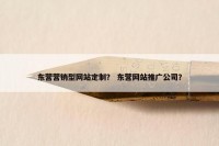 东营营销型网站定制？ 东营网站推广公司？