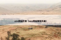 seo网站栏目（seo网站策划方案）