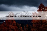 优化营商环境，优化营商环境应当坚持什么原则
