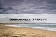 龙岗规模大网站开发企业（龙岗做网站公司）