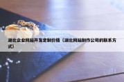 湖北企业网站开发定制价格（湖北网站制作公司的联系方式）