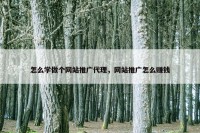 怎么学做个网站推广代理，网站推广怎么赚钱