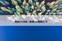 南昌seo访谈（南昌seo基础入门）