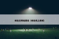 鲸选云网站建设（鲸选线上商城）