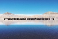武汉网站定制团队有哪些（武汉网站定制团队有哪些公司）