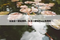 五站合一建站源码，五合一建站的app有用吗