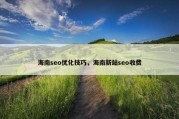 海南seo优化技巧，海南新站seo收费