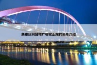新市区网站推广哪家正规的简单介绍