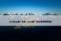 seo怎么推广文章（seo推广怎么做视频教程）