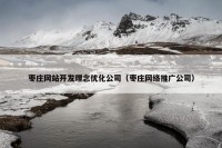 枣庄网站开发理念优化公司（枣庄网络推广公司）