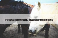 宁波镇海区网站优化公司，镇海区高端关键词优化地址