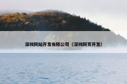 深圳网站开发有限公司（深圳网页开发）
