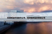 天津网站开发制作公司，天津做网站的网络公司