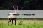 绍兴seo数据监控？ seo数据监控怎么做？