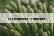 济宁口碑好网站开发费用（济宁网站运营策略）